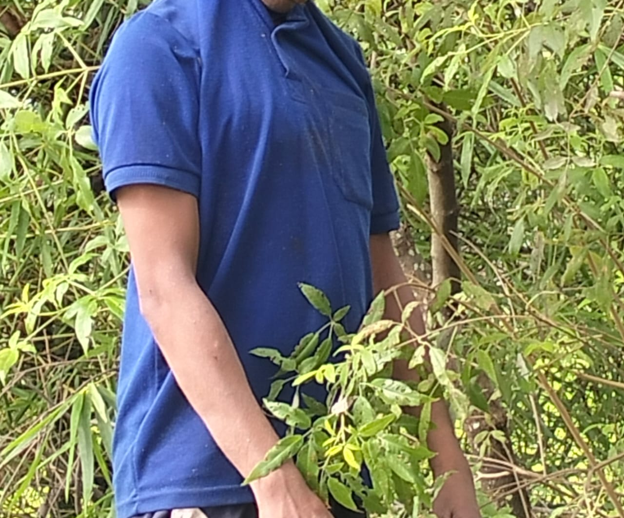 कुनकुरी: खेत में पेड़ पर टंगी अधेड़ की लाश, मवेशी तस्करी से जुड़ाव की आशंका, सनसनी 1 IMG 20250917 WA0064